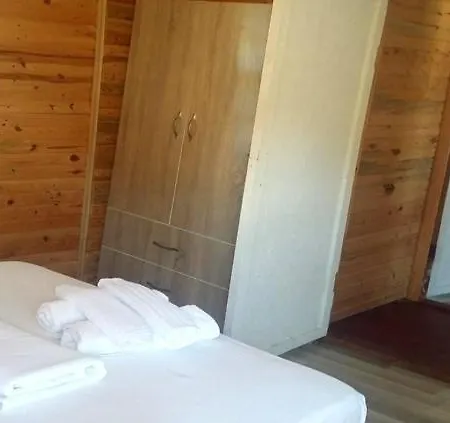 Olympos Forest House *