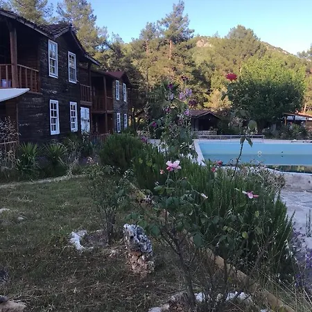 Olympos Forest House Antalya