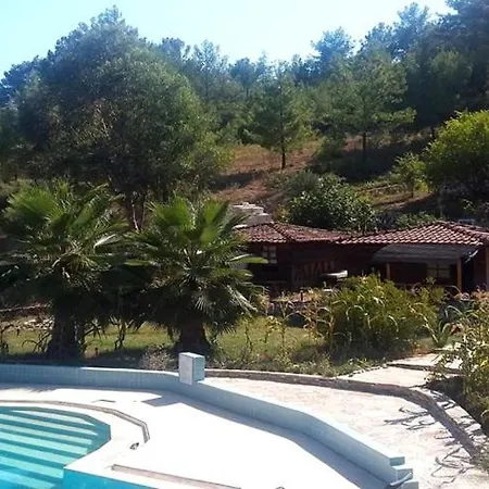 Olympos Forest House Homestay Antalya